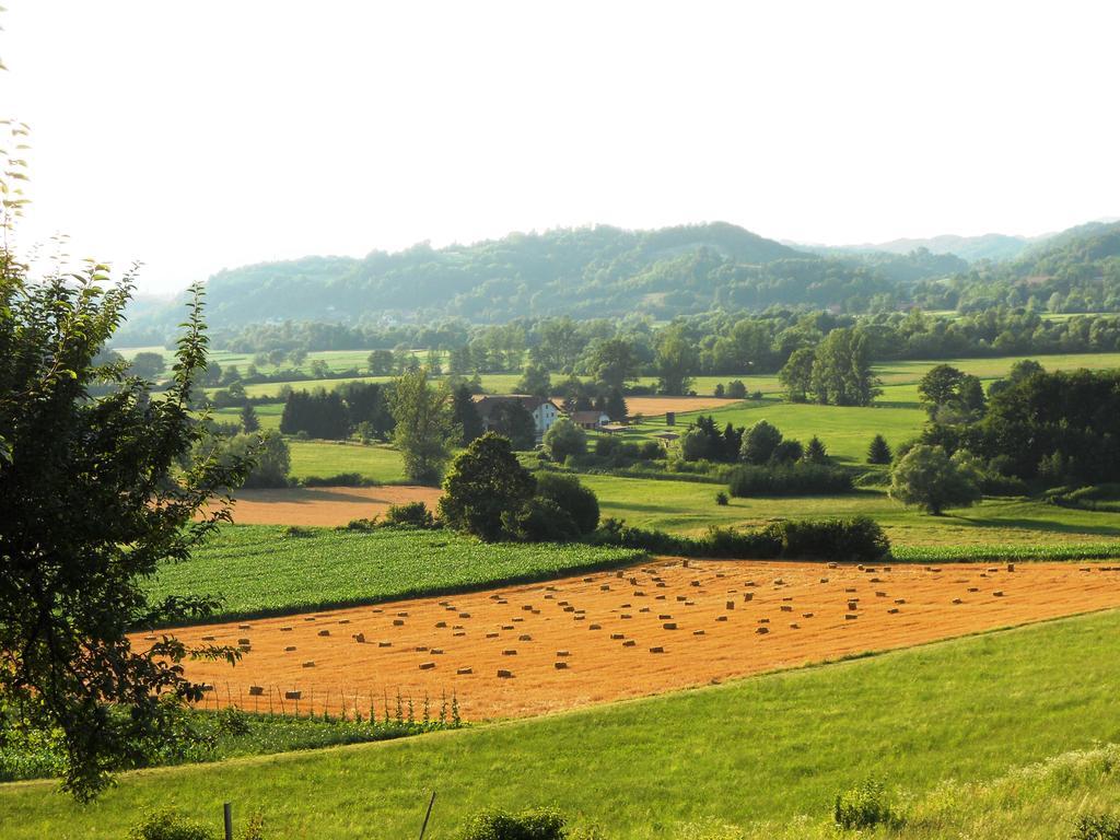 Farm Stay Kramer Bistrica ob Sotli Luaran gambar