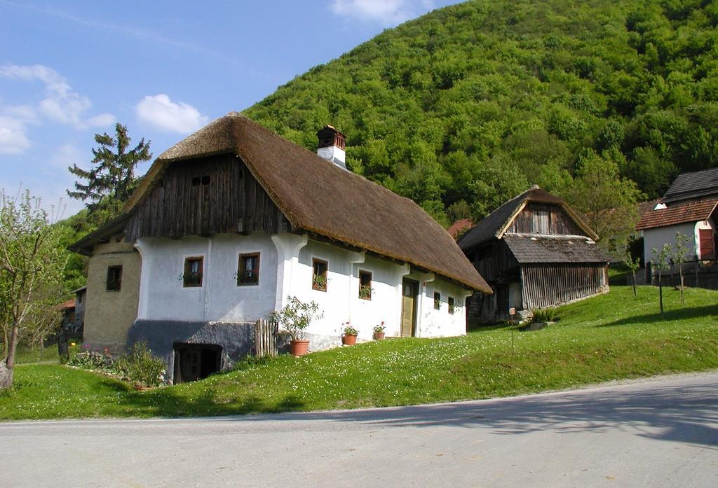Farm Stay Kramer Bistrica ob Sotli Luaran gambar